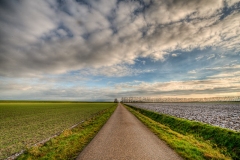 Johannes Kerkhovenpolder 26.11.2010 (Sigma 12-24mm f/4.0 DG HSM)