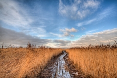 Nieuwe Statenzijl 26.11.2010 (Sigma 12-24mm f/4.0 DG HSM)
