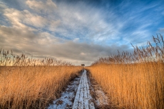 Nieuwe Statenzijl 26.11.2010 (Sigma 12-24mm f/4.0 DG HSM)
