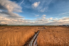 Nieuwe Statenzijl 26.11.2010 (Sigma 12-24mm f/4.0 DG HSM)