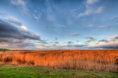 Nieuwe Statenzijl 26.11.2010 (Sigma 12-24mm f/4.0 DG HSM)