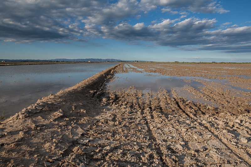 Ebrodelta near Riumar 07.10.2015 (Canon EF 16-35mm f/4L IS USM)