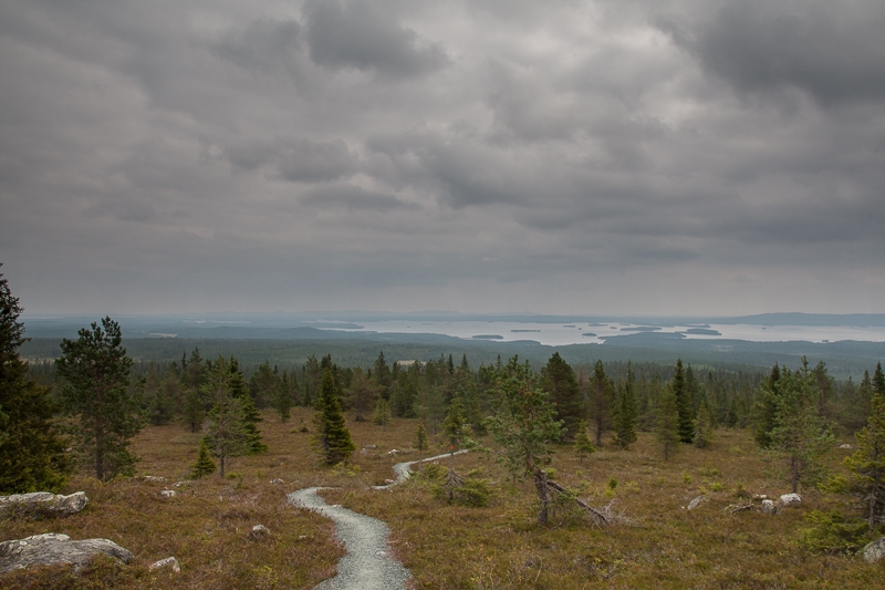 The Riisitunturu Trail 20.08.2010 (Canon EF 24-105mm f/4.0L IS)