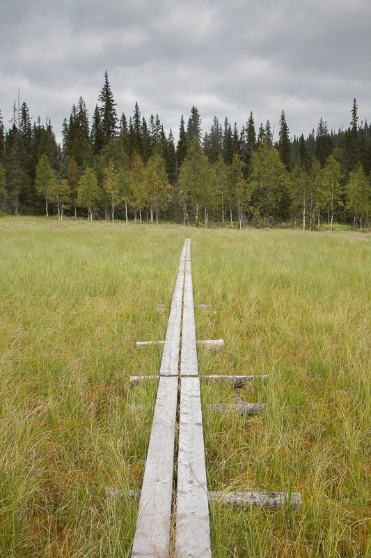 The Riisitunturu Trail 20.08.2010 (Canon EF 24-105mm f/4.0L IS)