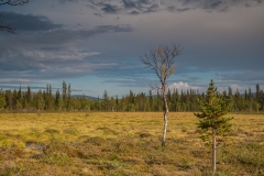 Pallas-Yllästunturi 11.08.2010 (Canon EF 24-105mm f/4.0L IS)