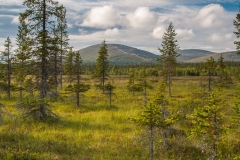 Pallas-Yllästunturi 11.08.2010 (Canon EF 24-105mm f/4.0L IS)