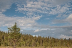 Pallas-Yllästunturi 11.08.2010 (Canon EF 24-105mm f/4.0L IS)