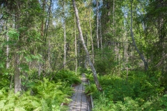 Pyhäjoki 12.08.2010 (Canon EF 24-105mm f/4.0L IS)