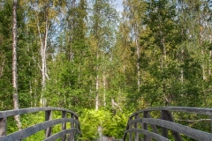 Pyhäjoki 12.08.2010 (Canon EF 24-105mm f/4.0L IS)