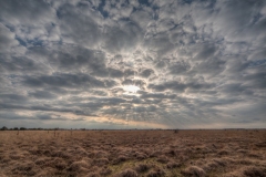 25.03.2011 (Sigma 12-24mm f/4.0 DG HSM)