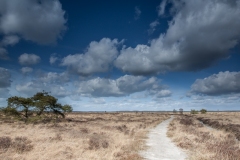 31.03.2012 (Canon EF 16-35mm f/2.8L II USM)