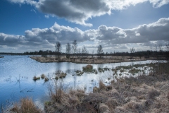 31.03.2012 (Canon EF 16-35mm f/2.8L II USM)