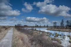 31.03.2012 (Canon EF 16-35mm f/2.8L II USM)