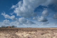 31.03.2012 (Canon EF 16-35mm f/2.8L II USM)