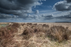 31.03.2012 (Canon EF 16-35mm f/2.8L II USM)
