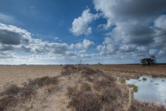31.03.2012 (Canon EF 16-35mm f/2.8L II USM)
