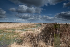 31.03.2012 (Canon EF 16-35mm f/2.8L II USM)