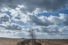 31.03.2012 (Canon EF 16-35mm f/2.8L II USM)