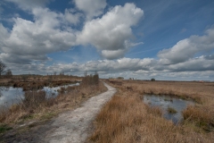 14.04.2012 (Sigma 12-24mm f/4.5-5.6 EX DG HSM)