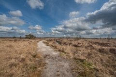 14.04.2012 (Sigma 12-24mm f/4.5-5.6 EX DG HSM)