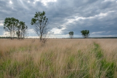 05.06.2012 (Canon EF 16-35mm f/2.8L II USM)