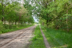 05.06.2012 (Canon EF 16-35mm f/2.8L II USM)