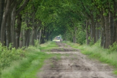 05.06.2012 (Canon EF 300mm f/4L IS USM + Canon EF 1.4x II Extender)