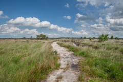 16.06.2012 (Canon EF 16-35mm f/2.8L II USM)