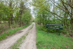 Delleboersterheide 05.05.2012 (Canon EF 16-35mm f/2.8L II USM)