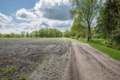 Delleboersterheide 12.05.2012 (Canon EF 16-35mm f/2.8L II USM)
