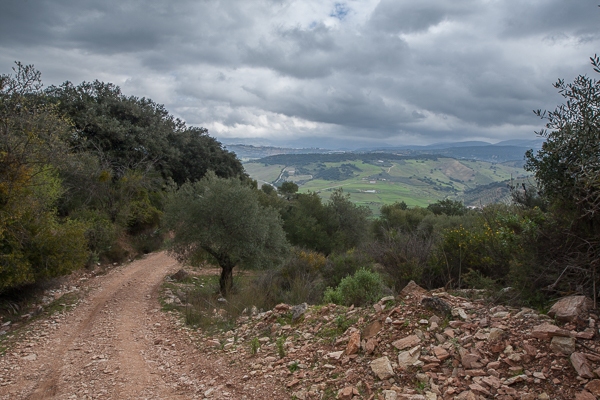 Camino Viejo de Ronda 03.03,2013 (Canon EF 16-35mm f/2.8L II USM)