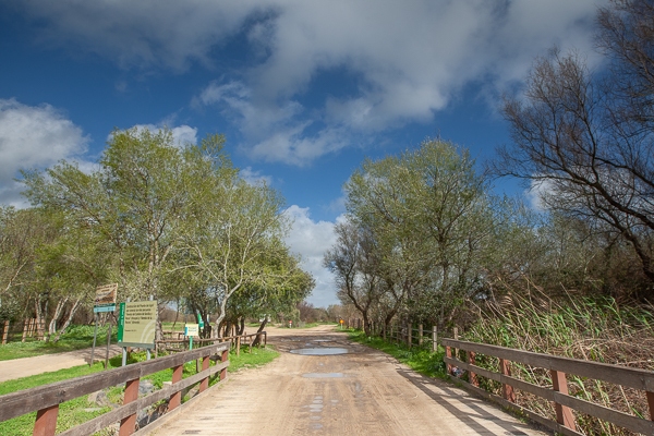 Parque Nacional Doñana 06.03.2013 (Canon EF 16-35mm f/2.8L II USM)