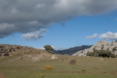 Sendero Sima del Republicano 20.02.2013 (Canon EF 16-35mm f/2.8L II USM)