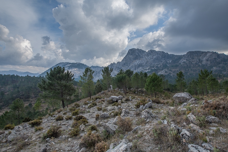Sierra del Pinar 01.03.2012 (Canon EF 16-35mm f/2.8L II USM)