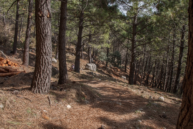 Sierra del Pinar 01.03.2012 (Canon EF 24-105mm f/4L IS USM)