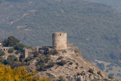 Jimena Castle 21.02.2012  (Canon EF 300mm f/4.0L IS + Canon EF 1.4x II Extender)