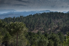Sierra de Grazalema 01.03.2012 (Canon EF 24-105mm f/4L IS USM)