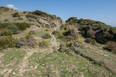 Colada de la Costa y del Camino de Algeciras 07.03.2012 (Canon EF 16-35mm f/2.8L II USM)