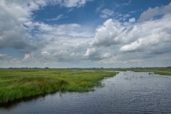 08.06.2012 (Canon EF 16-35mm f/2.8L II USM)