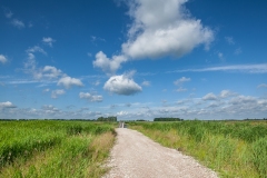 22.06.2012 (Canon EF 16-35mm f/2.8L II USM)