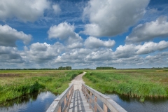 22.06.2012 (Canon EF 16-35mm f/2.8L II USM)