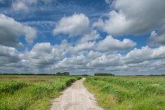 22.06.2012 (Canon EF 16-35mm f/2.8L II USM)