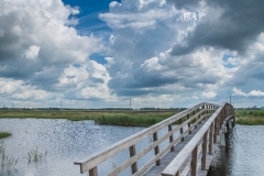 22.06.2012 (Canon EF 16-35mm f/2.8L II USM)