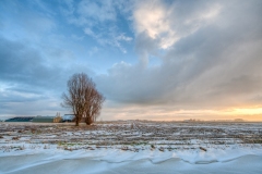 Noordpolder 05.12.2010 (Sigma 12-24mm f/4.5-5.6 EX DG HSM)