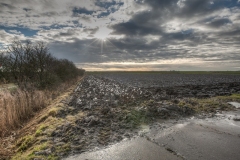 Noordpolder 30.11.2012 (Canon EF 16-35mm f/2.8L II USM)