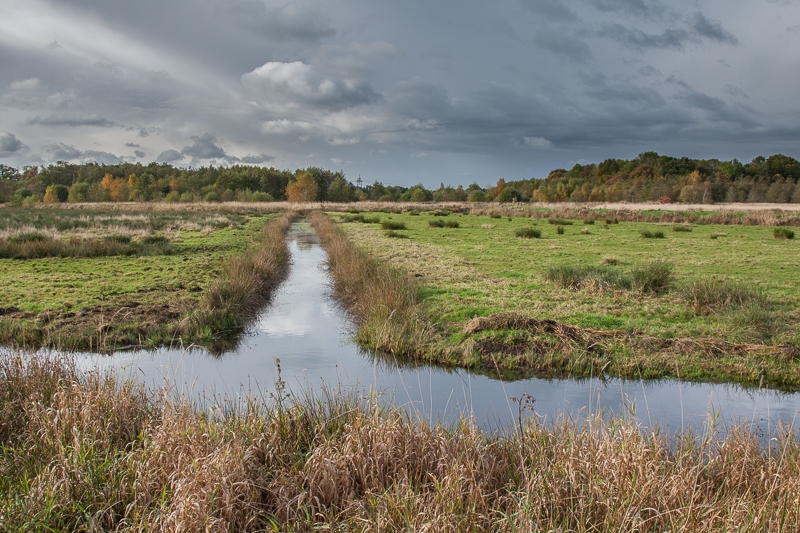 Oosterpolder 27.10.2012 (Canon EF 16-35mm f/2.8L II USM)
