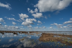 Westerbroekstermadepolder 08.04.2012 (Sigma 12-24mm f/4.5-5.6 EX DG HSM)